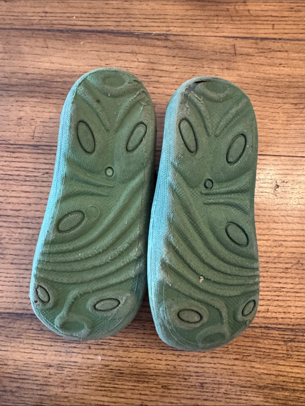 ☀️3 for $10☀️ Dinosaur Water Shoes